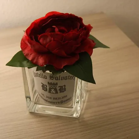 Castello Salvaterra Iglesias