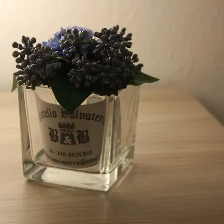 לינה וארוחת בוקר Castello Salvaterra 3*