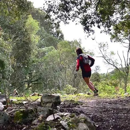 Castello Salvaterra איגלסיאס